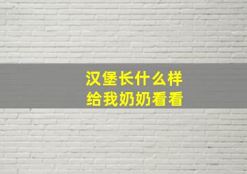 汉堡长什么样 给我奶奶看看